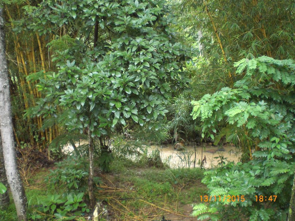 Ask Homestay Ella Luaran gambar